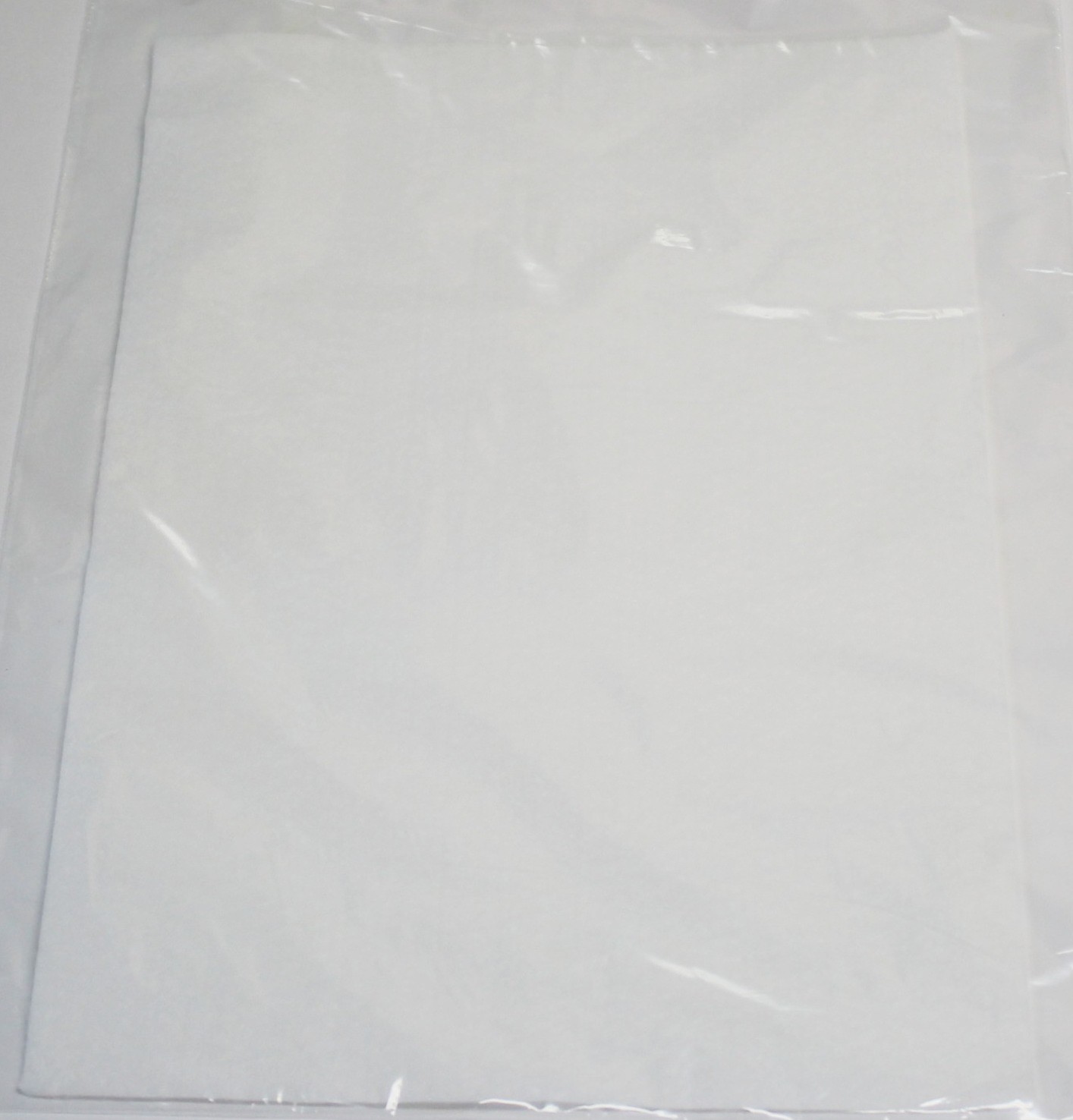 05187 Filtero FTM 01 микрофильтр для пылесоса, 255 х 197 мм	