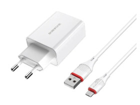 Зарядное устройство Borofone Type-C