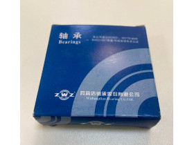 0922080841 Подшипник 6206 ZWZ China