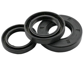 25x50.55x10/12 (две губы) NQK028 Сальник , SAMSUNG DC62-00007A